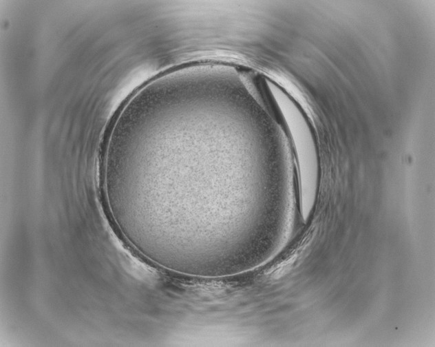 X0000086970999200704231511