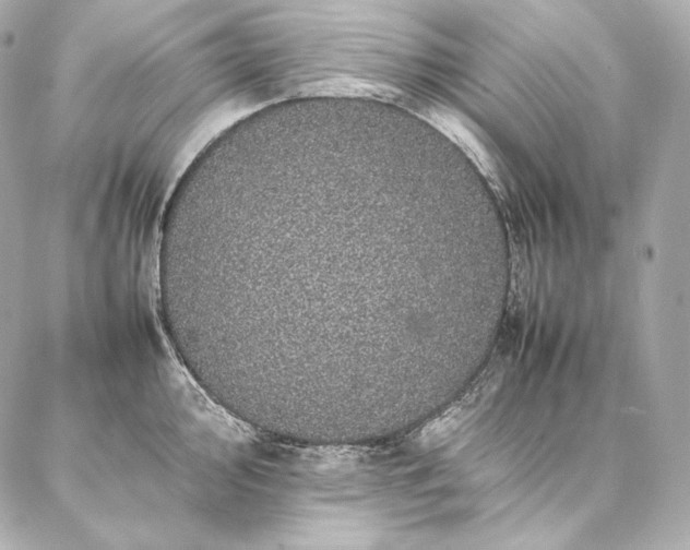 X0000086971000200704231511