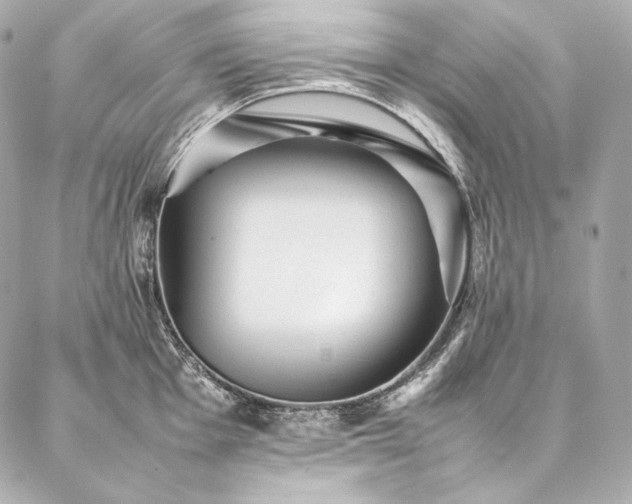 X0000086971001200704231511