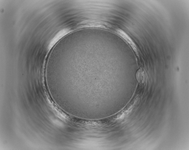 X0000086971002200704231511