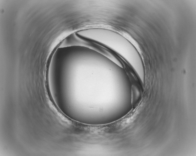 X0000086971005200704231511