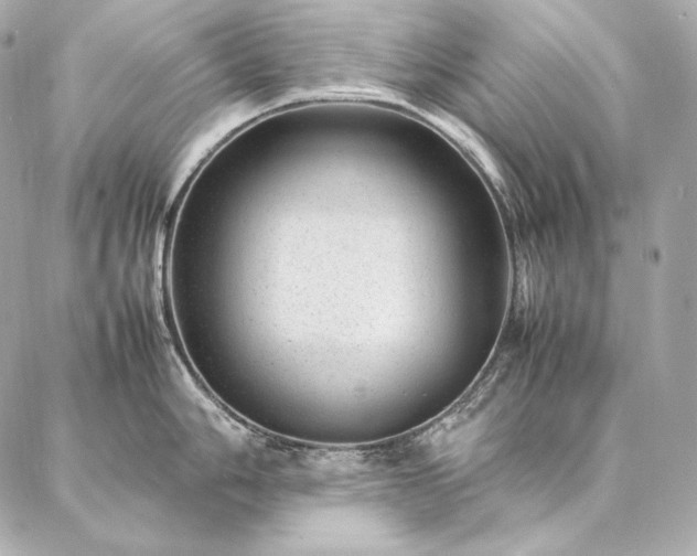 X0000086971006200704231511