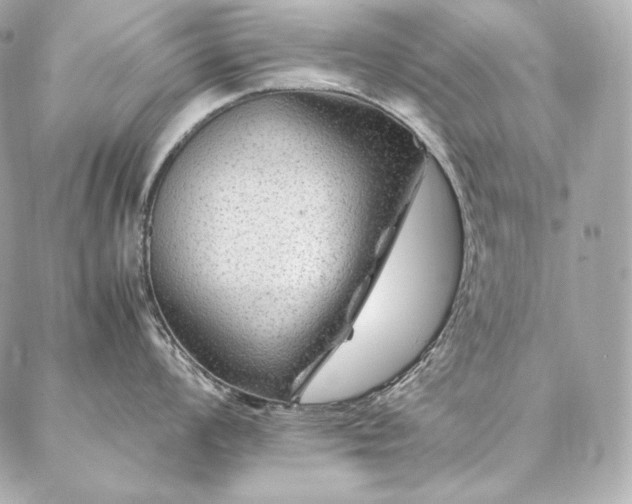 X0000086971008200704231511