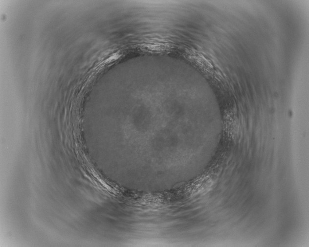 X0000086971009200704231510