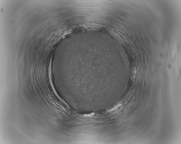 X0000086971010200704231510