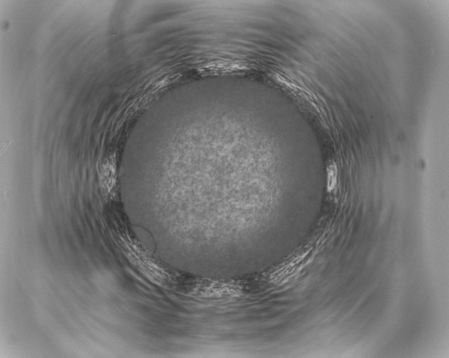 X0000086971011200704231510