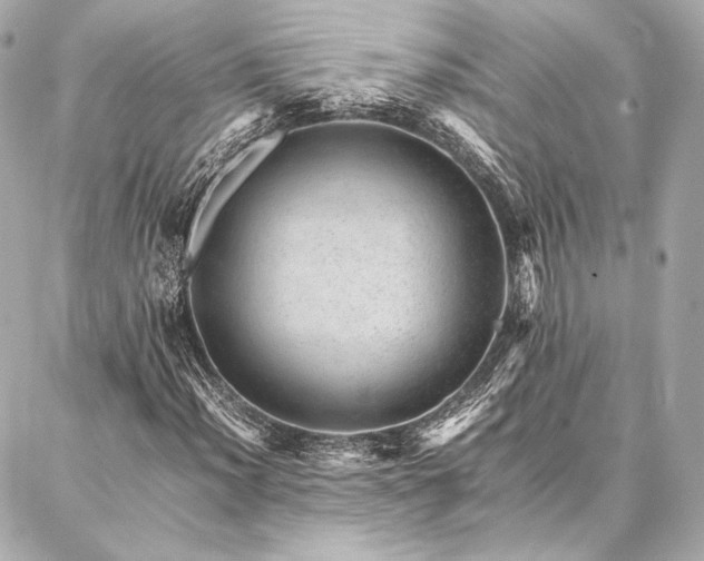 X0000086971012200704231510