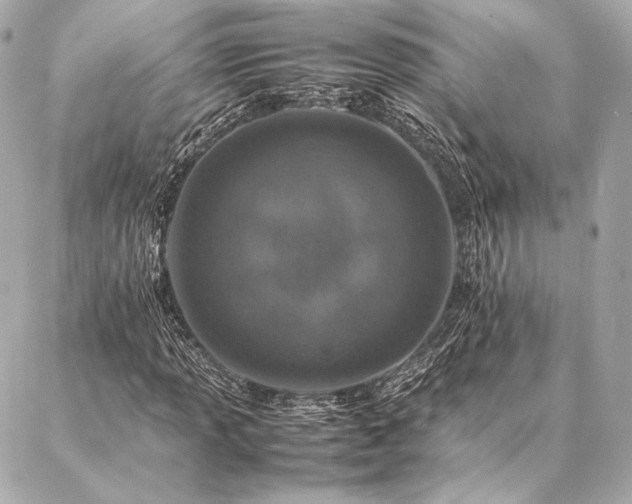 X0000086971013200704231510