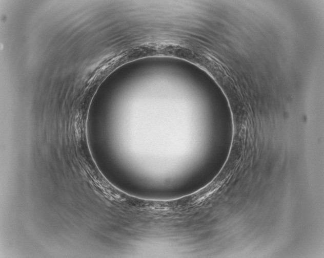 X0000086971014200704231510