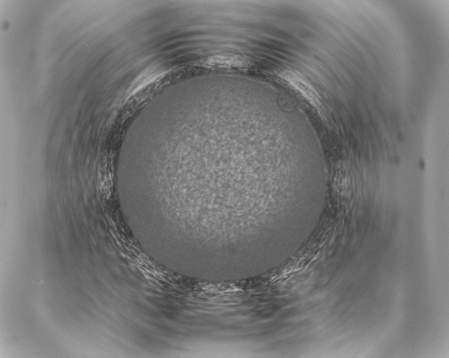 X0000086971015200704231510