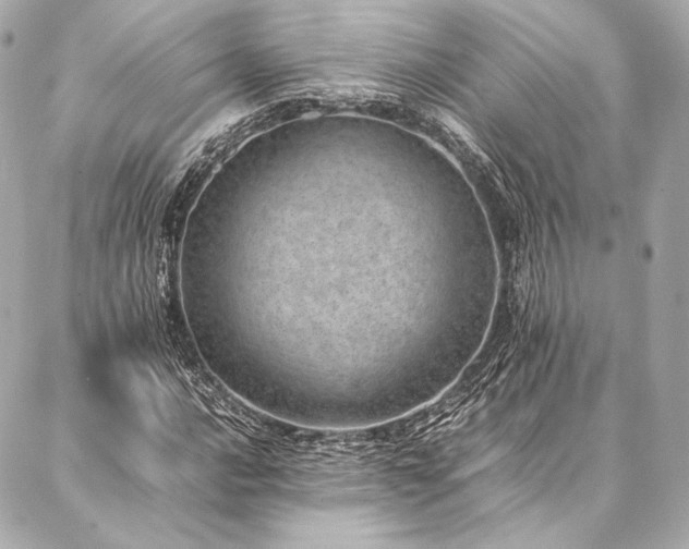 X0000086971016200704231510