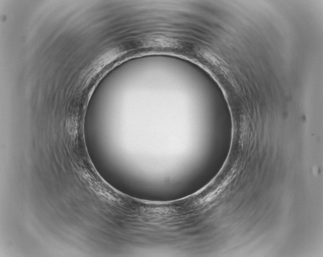 X0000086971017200704231510