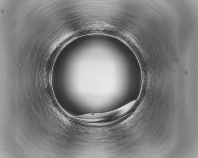 X0000086971018200704231510