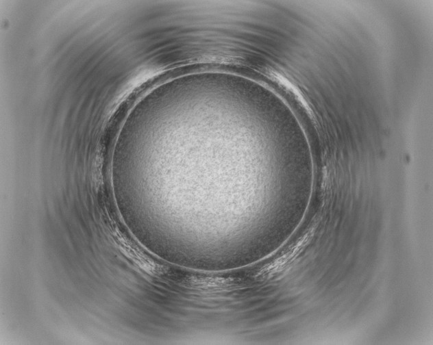 X0000086971019200704231510