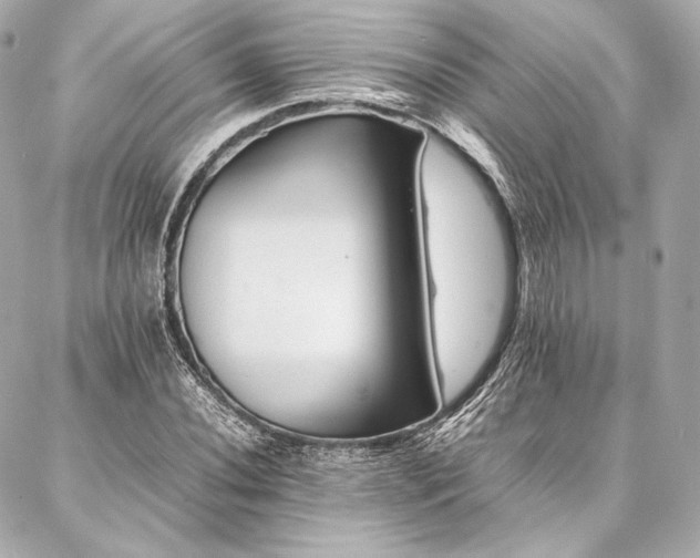 X0000086971020200704231510