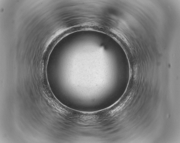 X0000086971021200704231510