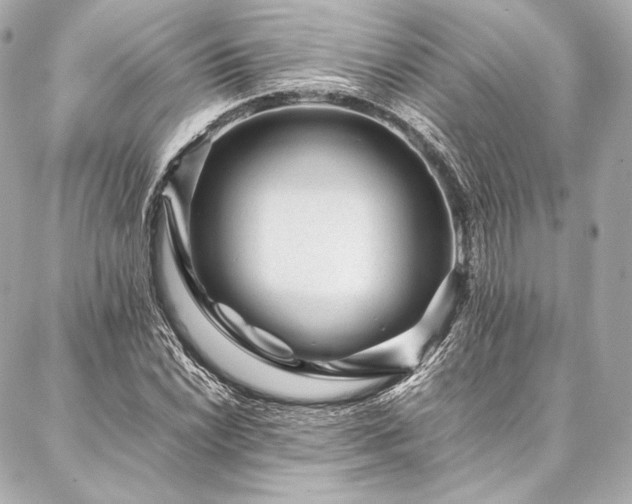 X0000086971022200704231510