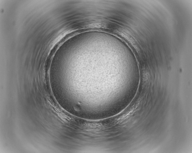 X0000086971023200704231510