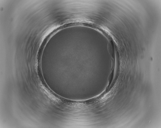 X0000086971024200704231510