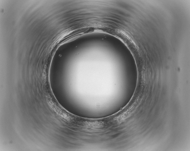 X0000086971025200704231510