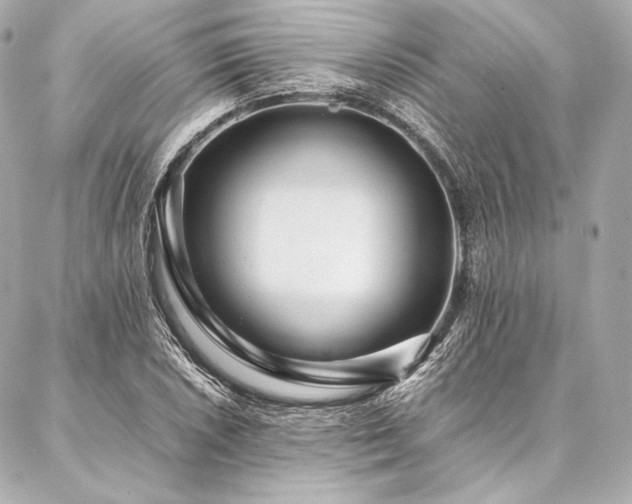 X0000086971026200704231510