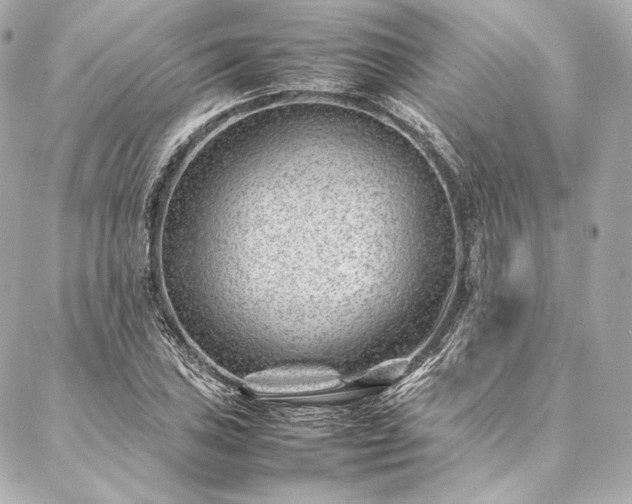 X0000086971027200704231510