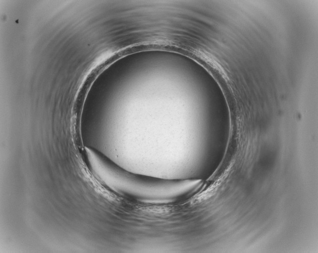 X0000086971029200704231510