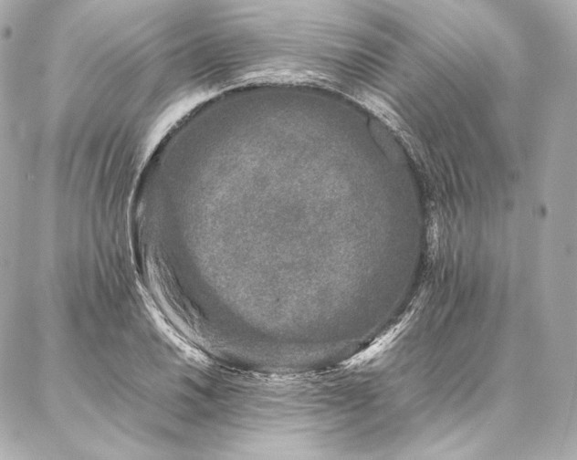 X0000086971030200704231510