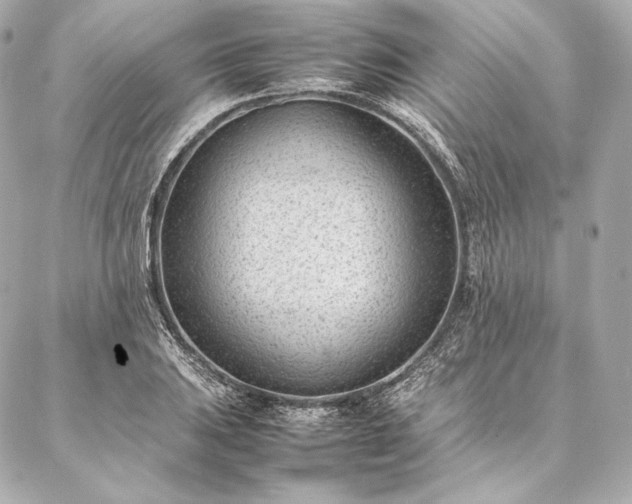 X0000086971031200704231510