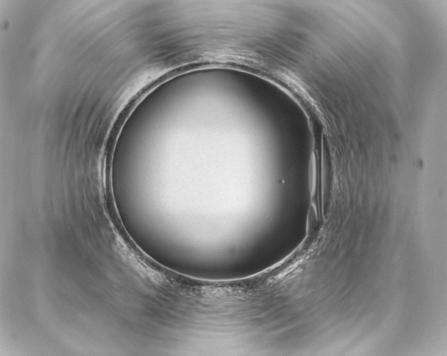 X0000086971032200704231510