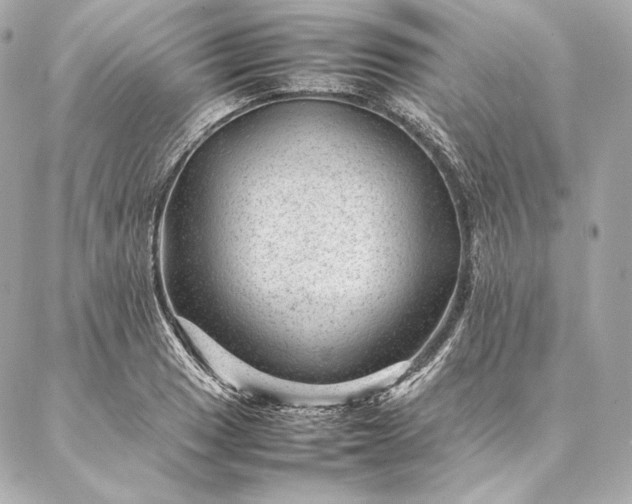 X0000086971033200704231510