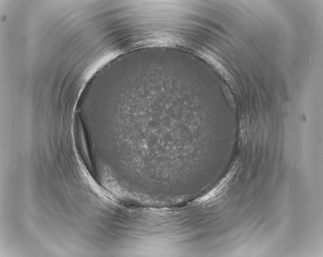 X0000086971034200704231510