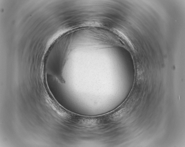 X0000086971035200704231510