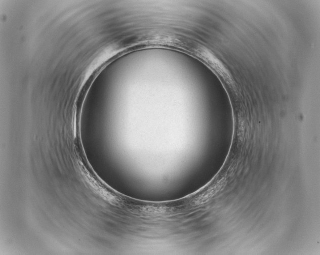 X0000086971036200704231510