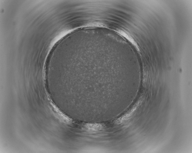 X0000086971037200704231510