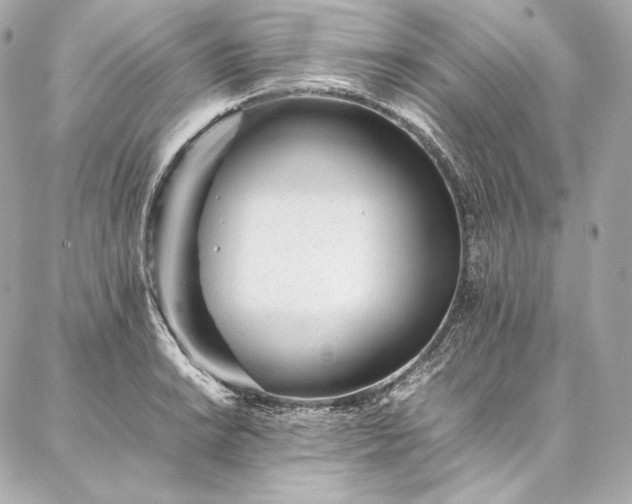 X0000086971038200704231510