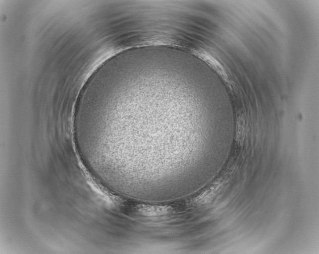 X0000086971039200704231510