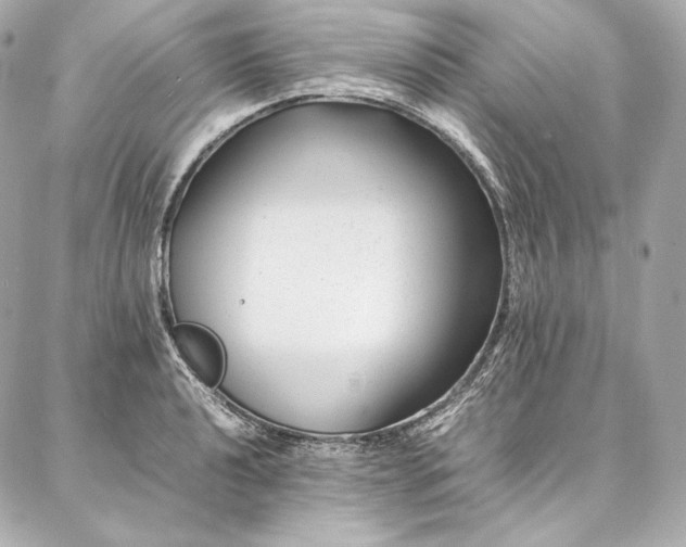 X0000086971040200704231510