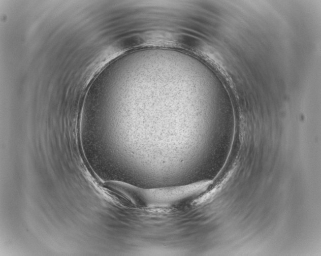 X0000086971041200704231510