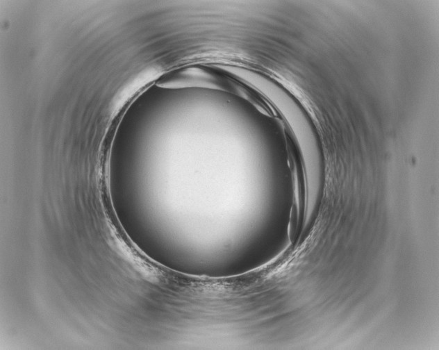 X0000086971042200704231510