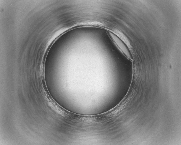 X0000086971044200704231510