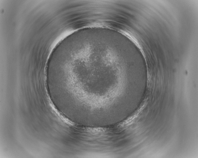 X0000086971045200704231510