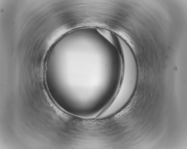 X0000086971046200704231510