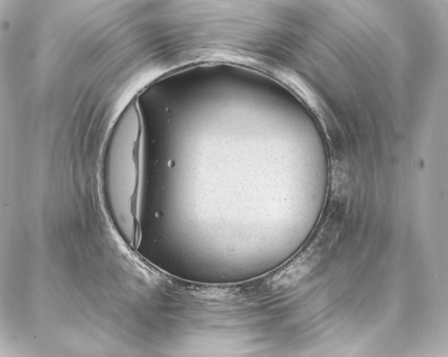 X0000086971048200704231510