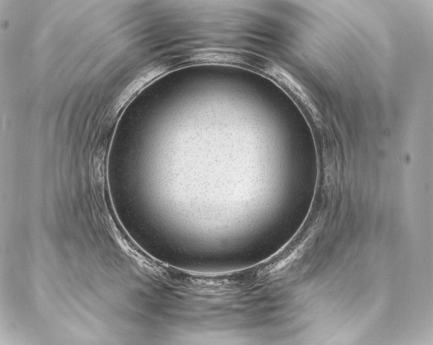 X0000086971049200704231511