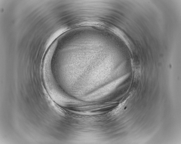 X0000086971050200704231511