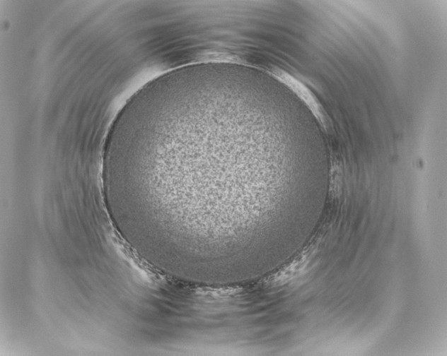 X0000086971051200704231511