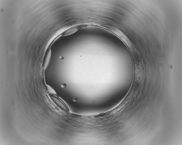 X0000086971052200704231511