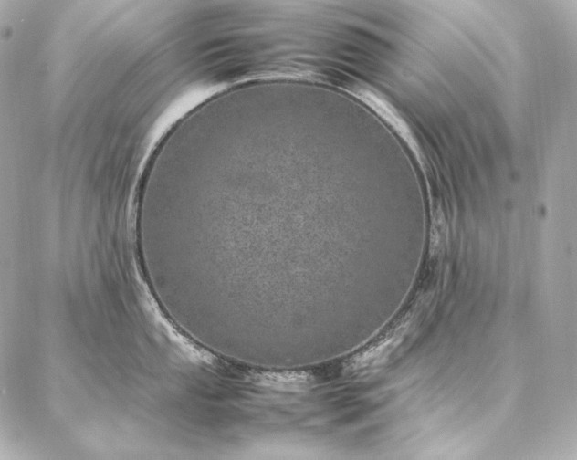 X0000086971053200704231511