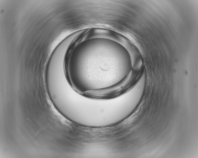 X0000086971054200704231511